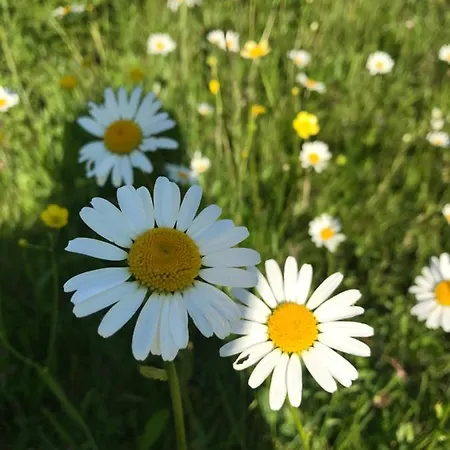 Na Modrinove アパート ノヴェー・ムニェスト・ナ・モラヴィエ
